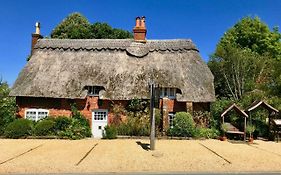 Thatched Cottage Hotel Brockenhurst